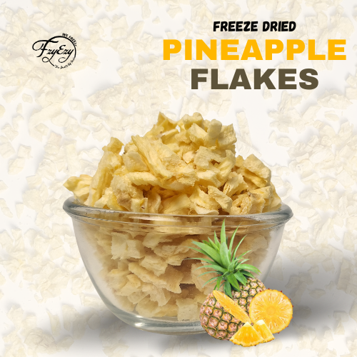 Freeze Dried Pineapple Slice