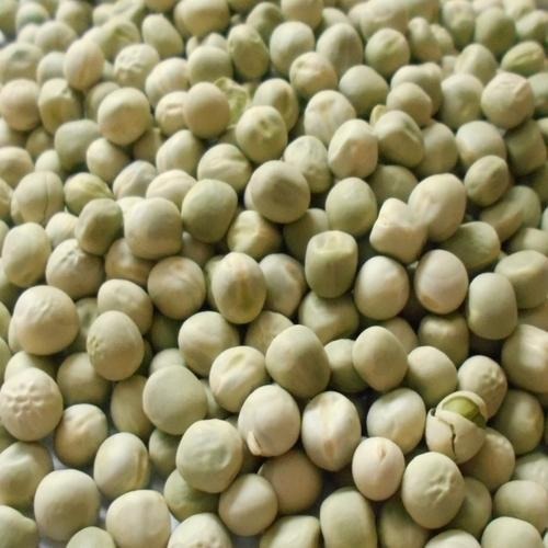 Freeze Dried Green Peas