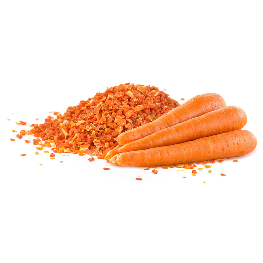 Freeze Dried Carrot