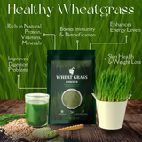 Wheatgrass Powder